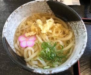 本格手打ちうどん とも作
