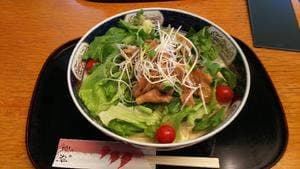 蛇崩 更科