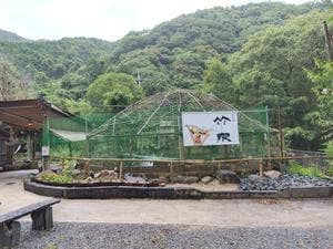 竹泉