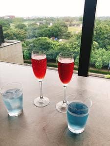 THE Dragonfly BAR