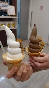 チョコ南部PREMIUM 本店 2door