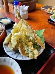 そば処 村の茶屋