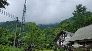 焼きたてスコーンのお店 Forest