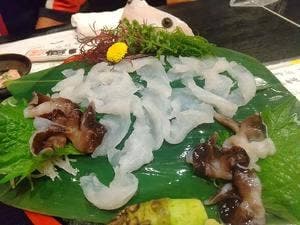 鷹一