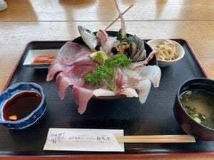 関あじ関さば館
