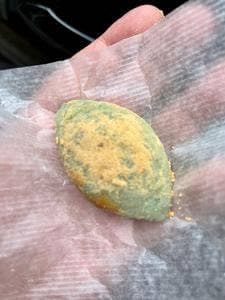 多聞堂