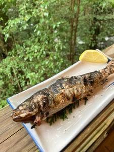 寒川水源亭