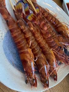 車えびレストラン 球屋