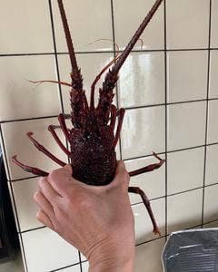 活魚センター 大昌