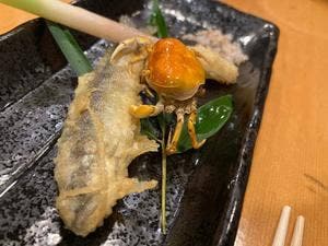 天ふじ
