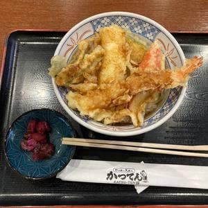 かつてん 桑園イオン店
