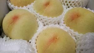 JUICE BAR momo 近鉄百貨店 和歌山店
