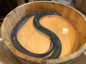 にょろ助 仙台国分町店