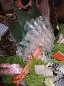 浜の漁師居酒屋 こちらまる特漁業部 駅前AKビル店