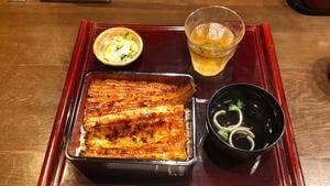 うなぎのお宿 新橋店