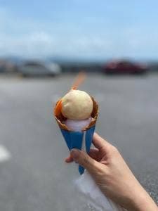 ブルーシール 名護店