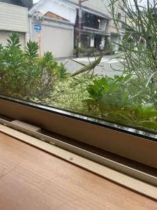 みのカフェmakana