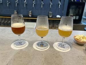Brewin'bar & Nature 銀座醸造所