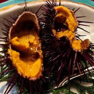 お食事処 周庵 平山旅館