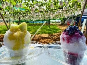 芳蔵園 From Farm cafe キッチンカー