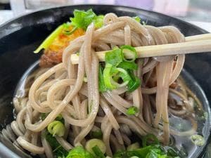 富陽軒 富士駅 身延線ホーム そば店
