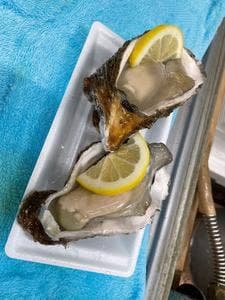 鮮魚直売所 元気な浜店 道の駅鳥海ふらっと
