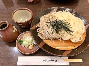 志な乃