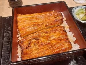 うなぎ 成田新川 銀座5丁目店