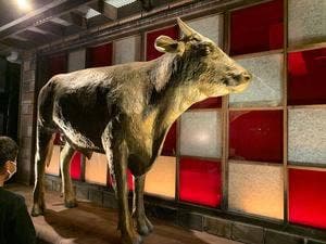炭火七輪焼肉 炎家