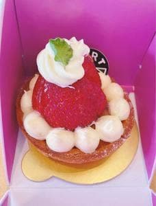 TARTORTA