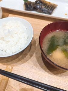 木の芽