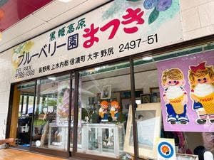 ブルーベリー園まつき