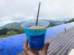 葛城珈琲 伊豆の国パノラマパーク