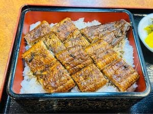 本家 木原鰻屋