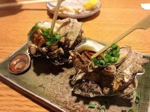 居酒屋 葵