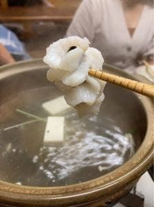 谷中 鳥よし