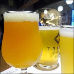 CRAFT PUB BRIAN BREW