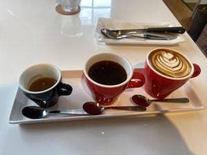 Hoccino Coffees