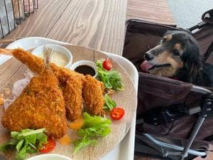 IDONOカフェ＆nana