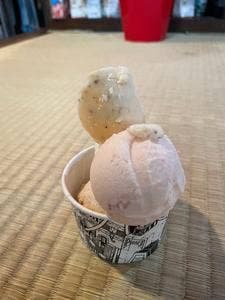 PICARO EIS