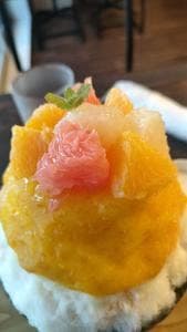 氷庵 富士の雫