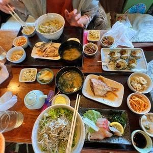 白菊