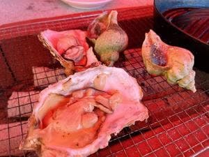 桃山BBQ モモヤマバーベキュー 札幌