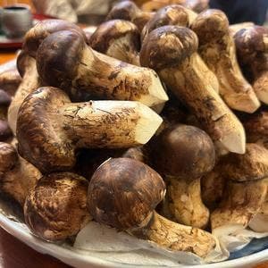 かいど 銀座