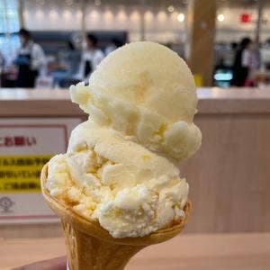 久保田アイス とさのさとアグリコレット