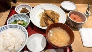 鳥料理 藤よし 中之島フェスティバルプラザ店