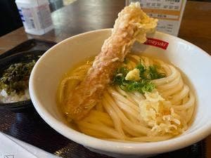 讃岐うどん今雪