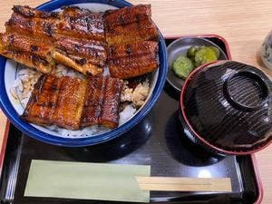 和食とみだ