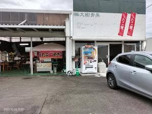 たこ焼き 大樹