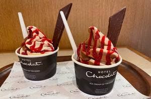 ホテルショコラ グランツリー武蔵小杉店